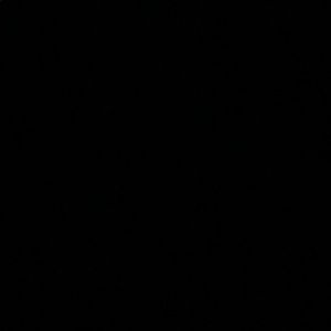 Meet your Posher, Camilla